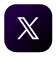 X (Twitter)